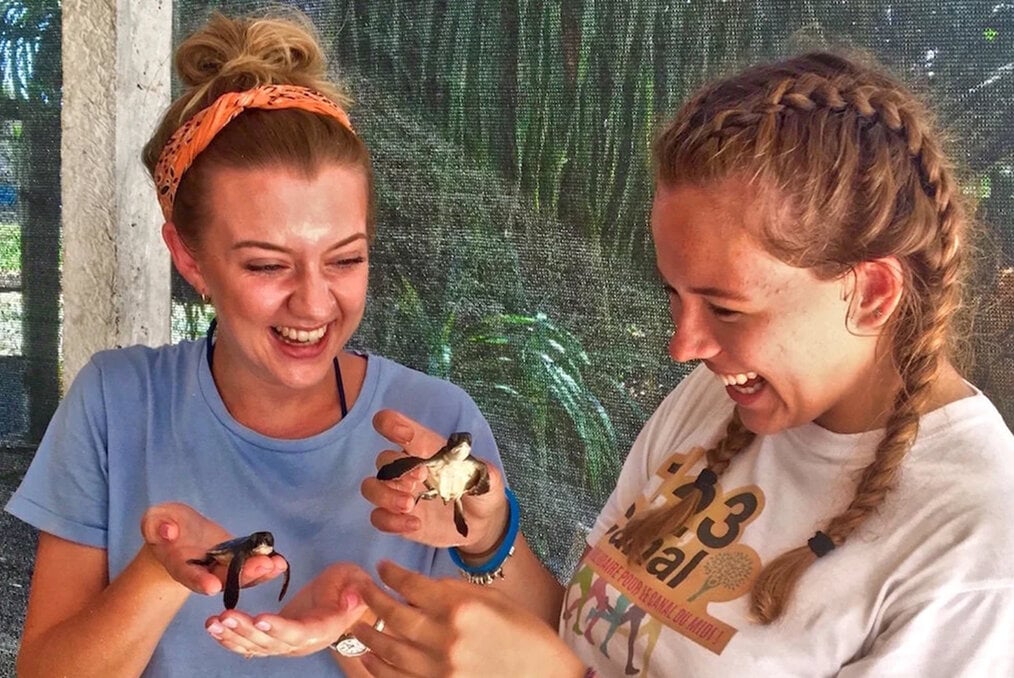 Two volunteers holding baby turtles